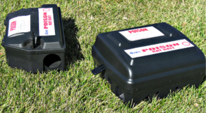 Dry bait stations. Modern bait stations have baffles and secured entrances built in.