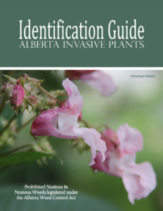 identificationguide