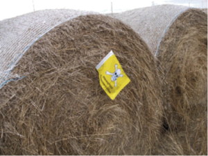 Properly labelled bale stacks.